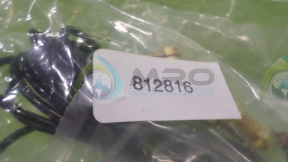 812816 NSNP IN BAG