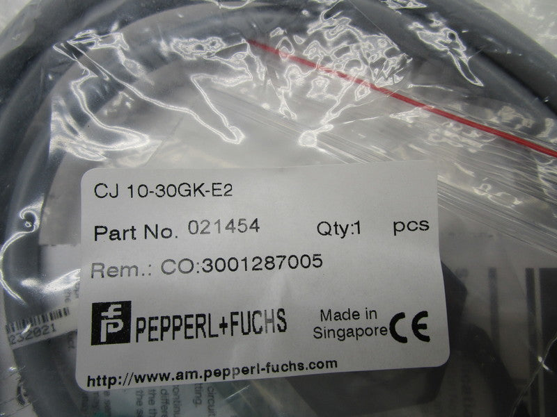 PEPPERL+FUCHS CJ10-30GK-E2 021454 PROXIMITY SENSOR  NSMP