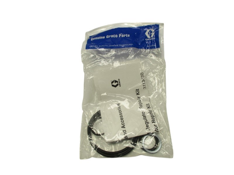 GRACO 311343B NSMP