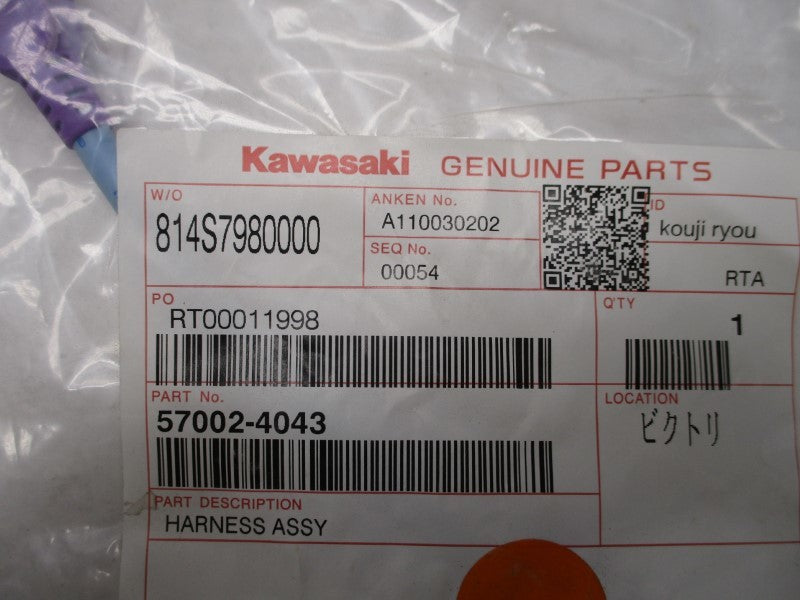 KAWASAKI 57002-4043  NSMP