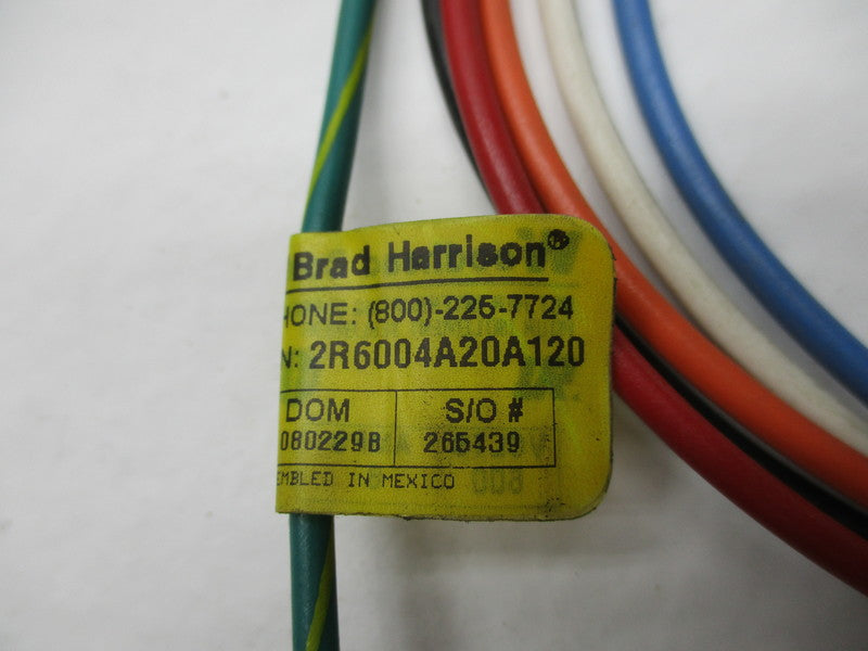 DANIEL WOODHEAD 2R6004A20A120  NSNP