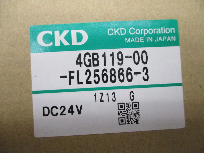 CKD 4GB119-00-FL256866-3 NSMP