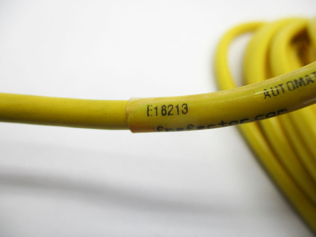 IFM EFECTOR E18213 (LONG) NSNP
