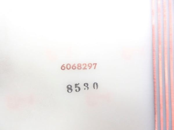 6068297 NSNP