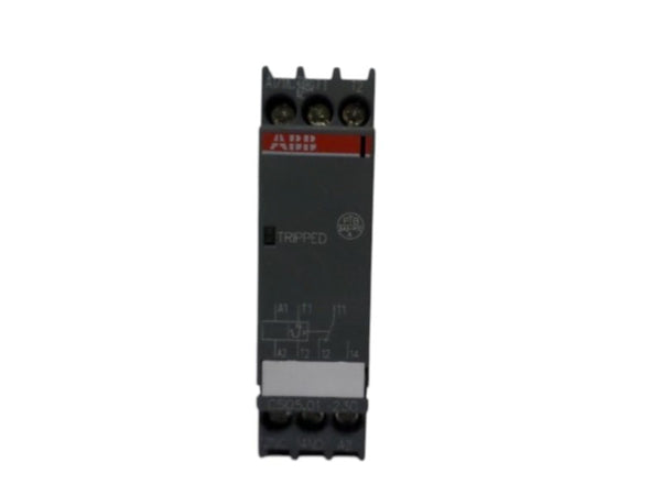 ABB 1SAR600001R0002  NSMP