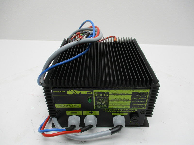 FEAS PSU25024-K  NSNP