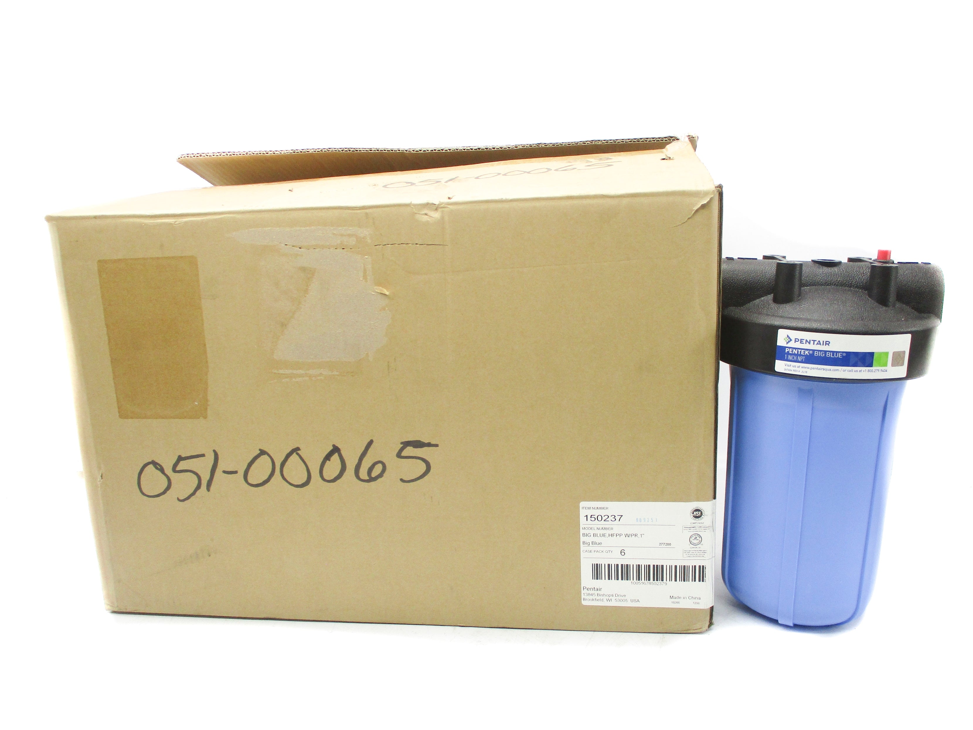 PENTAIR 150237 BIG BLUE (PKG OF 6) NSMP