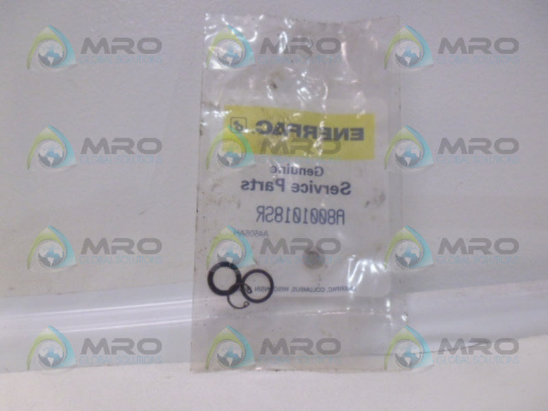 ENERPAC A8001018SR O-RING KIT NSMP