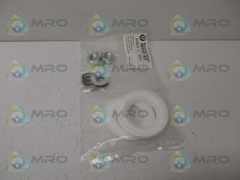 WORCESTER 20TRK13-TT P287T REPAIR KIT NSMP
