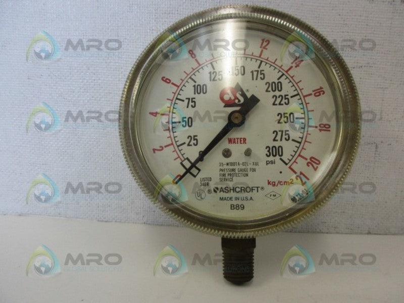 ASHCROFT B89 0-300 NSNP