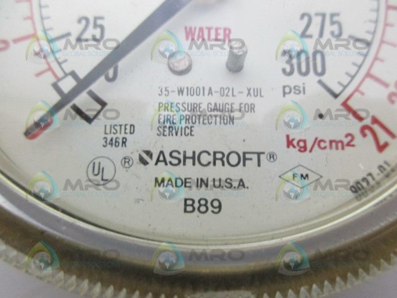 ASHCROFT B89 0-300 NSNP