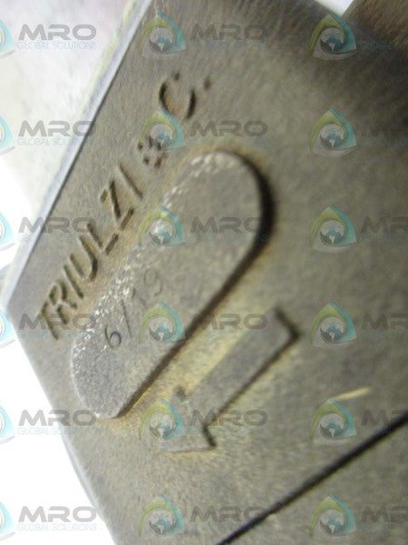 TRIULZI & C 6/19 0 NSNP
