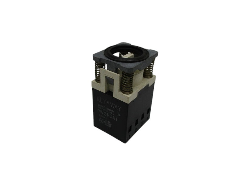 MICRO SWITCH PW2PCA1  NSNP