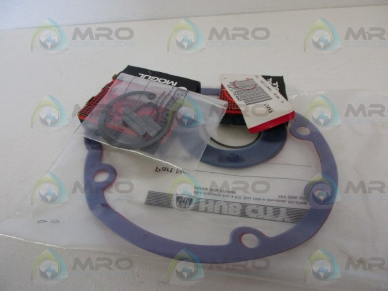 HUB CITY 0223-04518-0250 REPAIR KIT NSMP