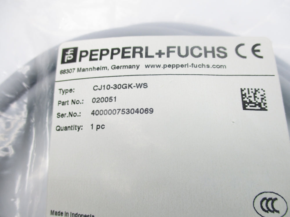 PEPPERL+FUCHS CJ10-30GK-WS 020051 NSMP