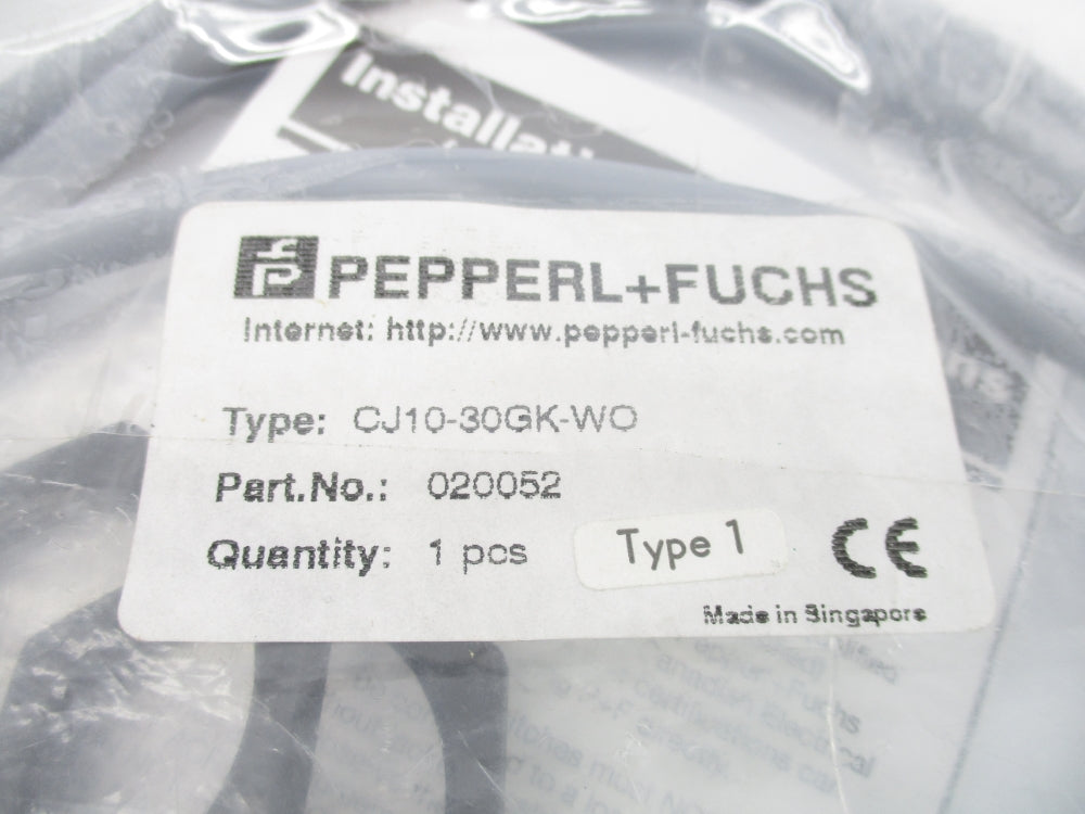 PEPPERL+FUCHS CJ10-30GK-WO 020052 NSMP