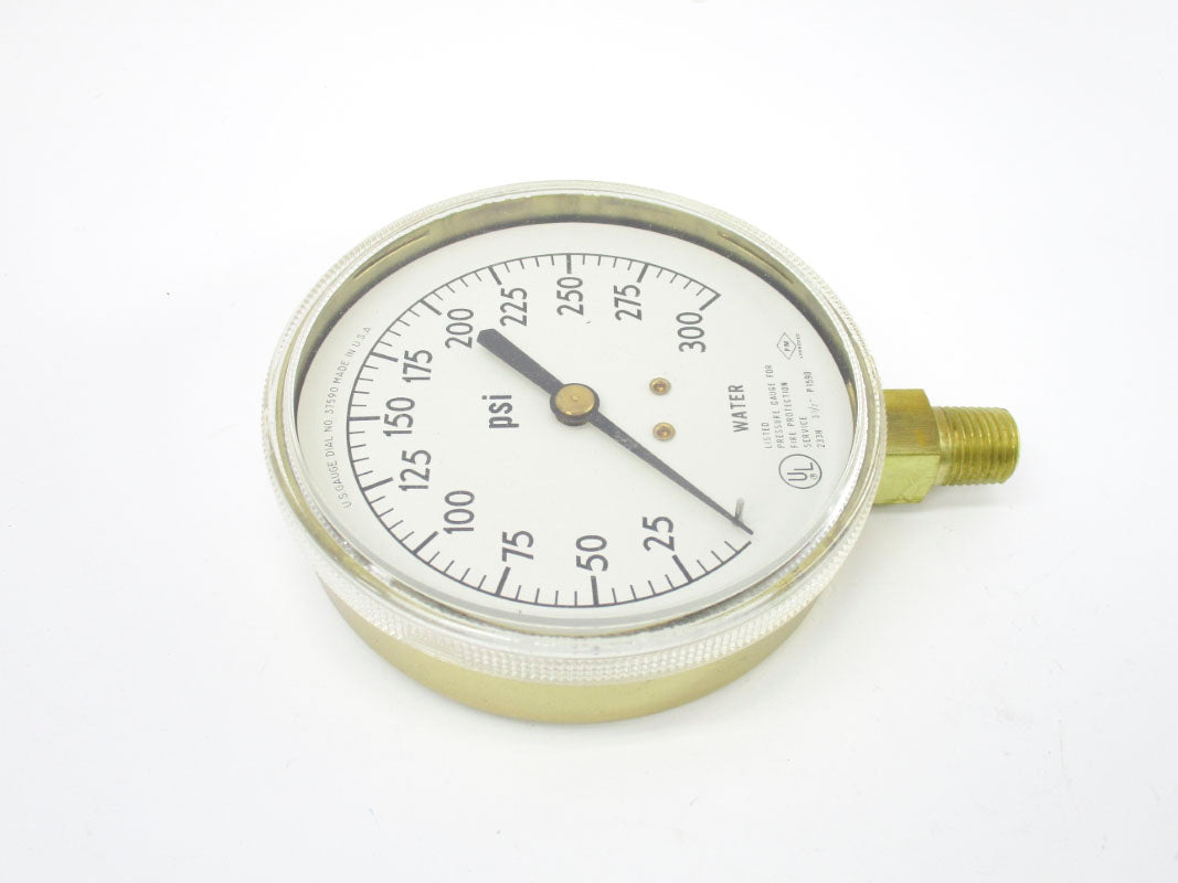 GAUGE 017982P1590 300PSI NSNP
