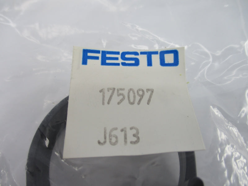 FESTO 175097 NSMP