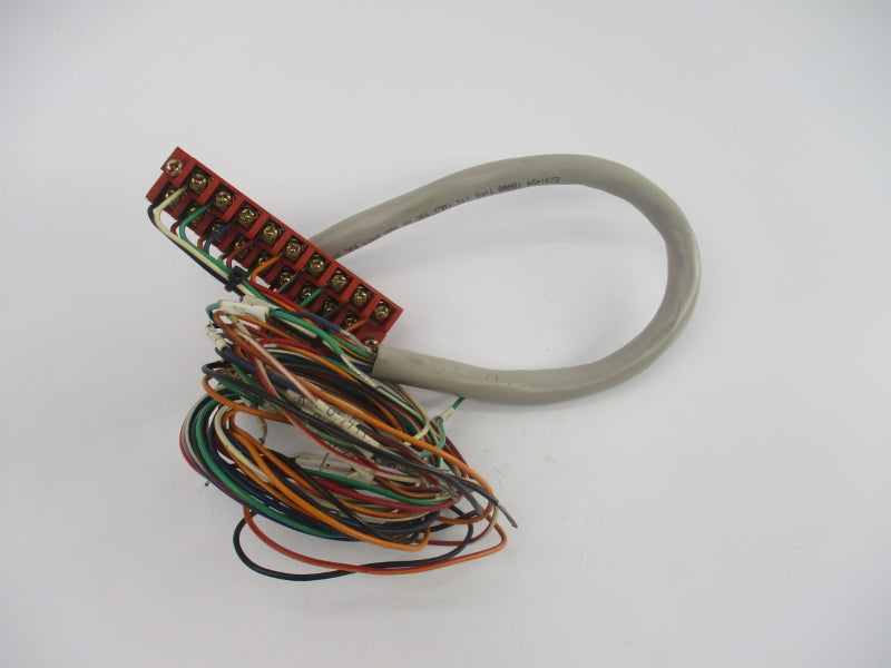 ALLEN BRADLEY 1492-CABLE025RTBR SER. C NSNP