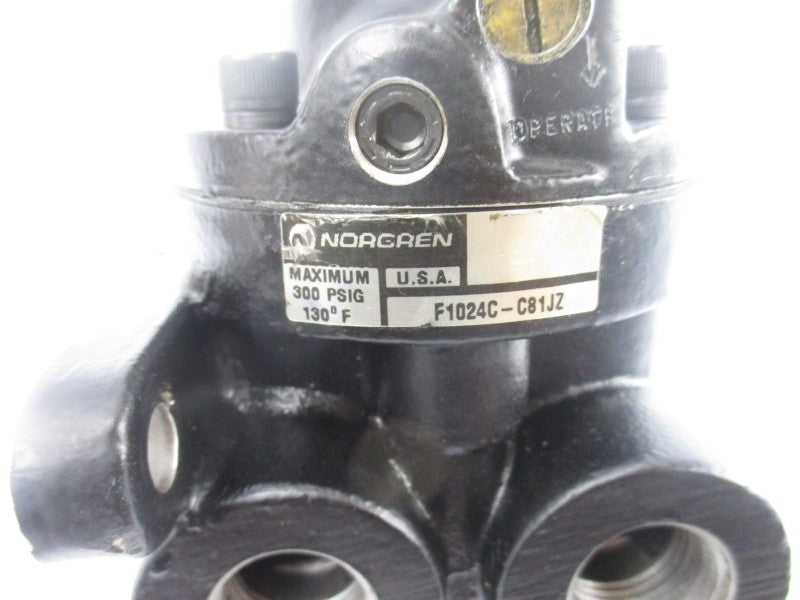 NORGREN F1024C-C81JZ 300PSI (AS PICTURED) UNMP