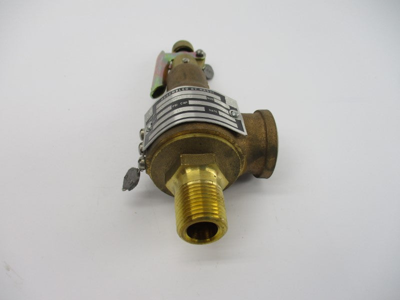 KUNKLE 6010DCM01-LM0100 100.0PSI 1/2" NSNP