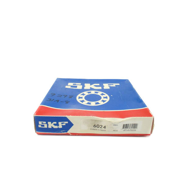 SKF 6024 NSFS
