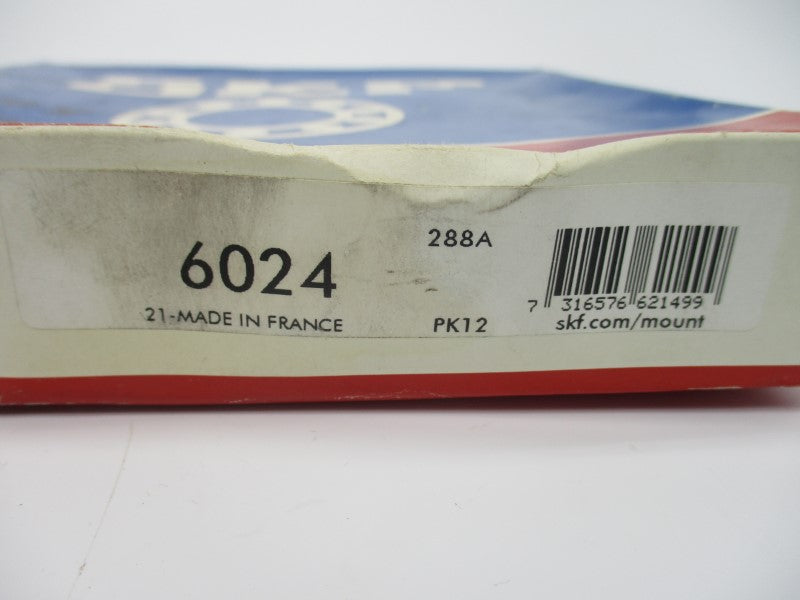 SKF 6024 NSFS
