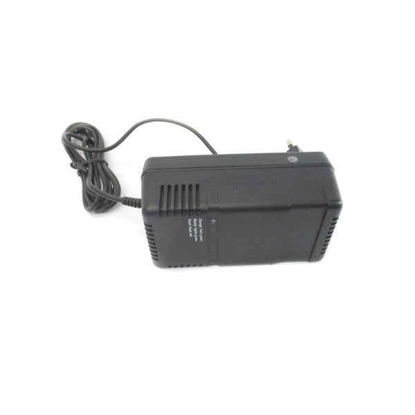 ANSMANN ACS310-400 2011-3007 100-240V NSNP