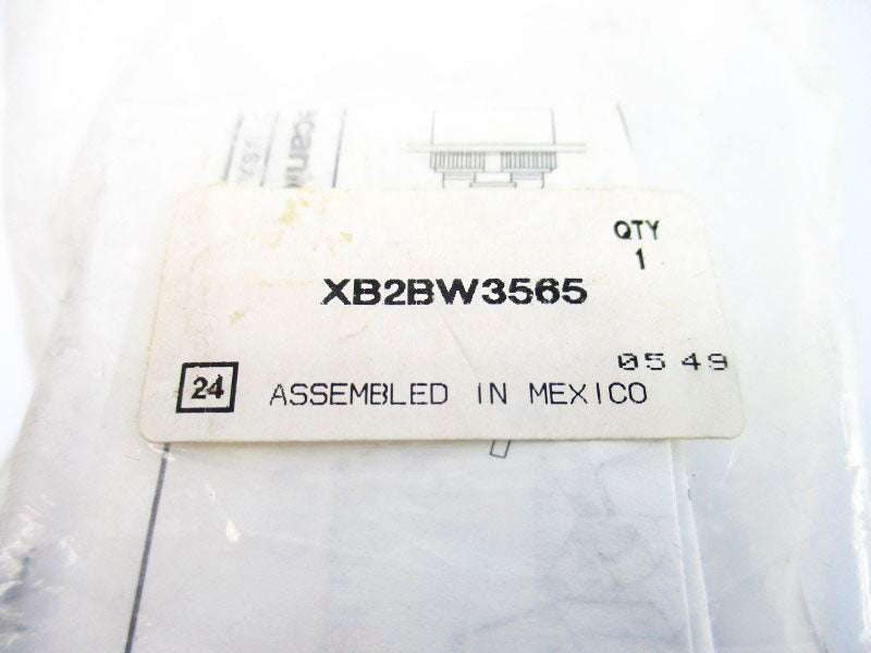TELEMECANIQUE XB2BW3565 NSMP