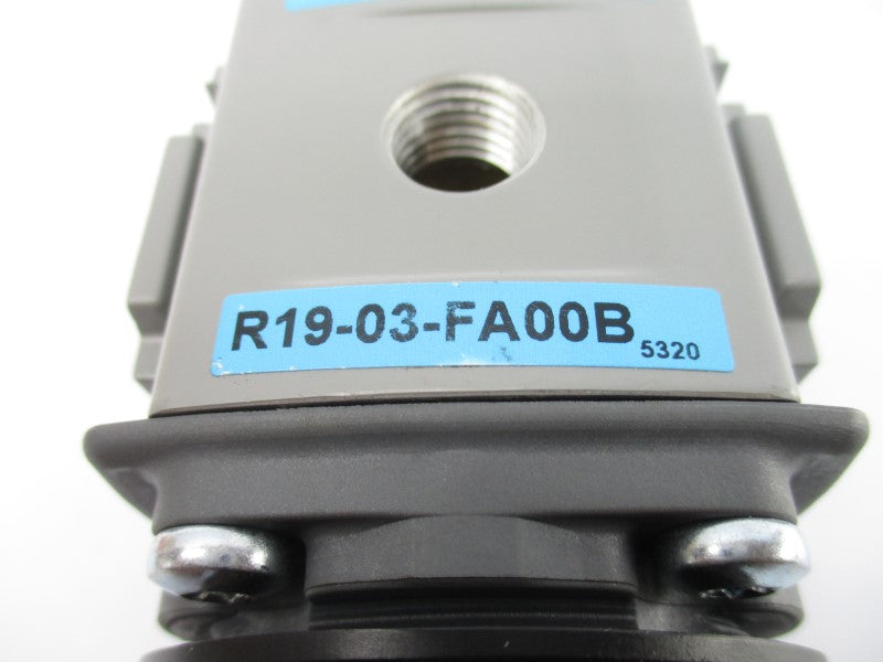 WILKERSON R19-03-FA00B 300PSI NSNP