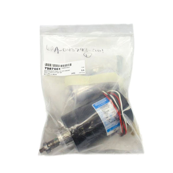 LEESON M1120164.00 UM31P17NM6B 120V 2.9A NSMP