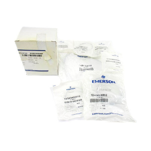 EMERSON R1061X00402 NSMP