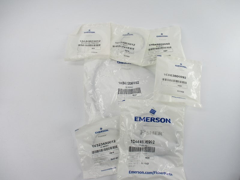 EMERSON R1061X00402 NSMP