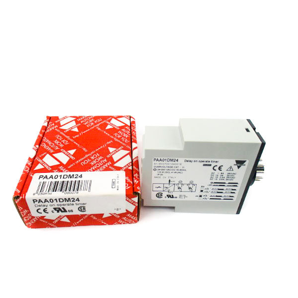 CARLO GAVAZZI PAA01DM24 24-240VAC/DC 0.1S-10H NSMP