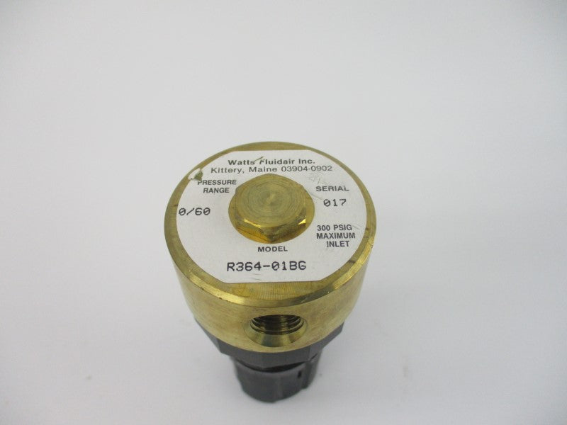 WATTS R364-01BG 300PSI 1/8" NSMP
