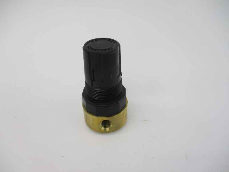 WATTS R364-01BG 300PSI 1/8" NSMP