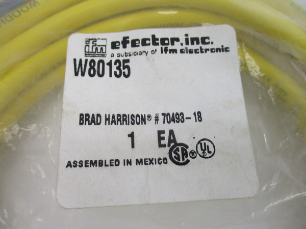 IFM EFECTOR W80135 NSMP