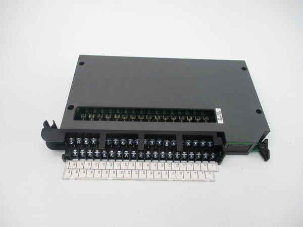 ALLEN BRADLEY 1771-OQ16 SER. C 24VDC 24-32A NSMP
