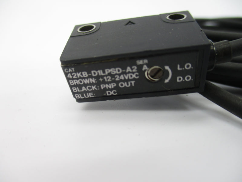 ALLEN BRADLEY 42KB-D1LPSD-A2 SER. A 12-24VDC NSNP
