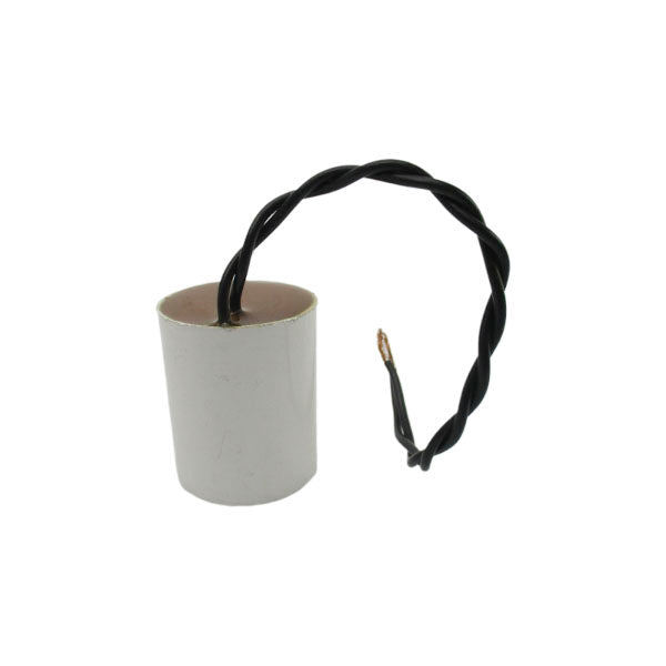 EPCOS 4A306K017 250VAC NSNP