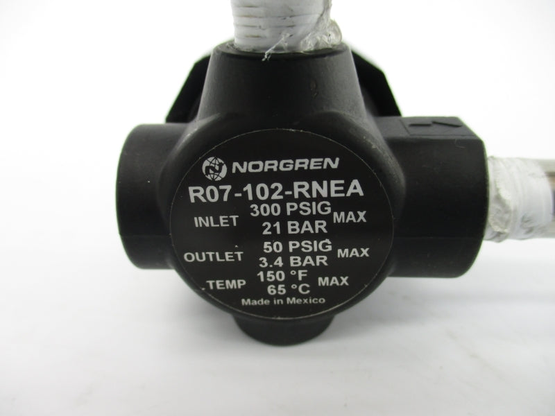 NORGREN R07-102-RNEA 300PSI NSNP