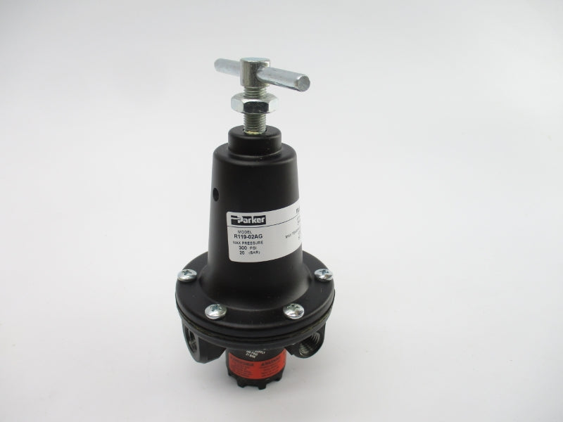 PARKER R119-02AG 300PSI 1/4" NSMP