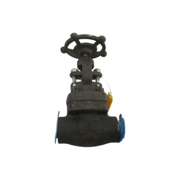 FORTUNE 861-TF 1975PSI 3/4" NSNP