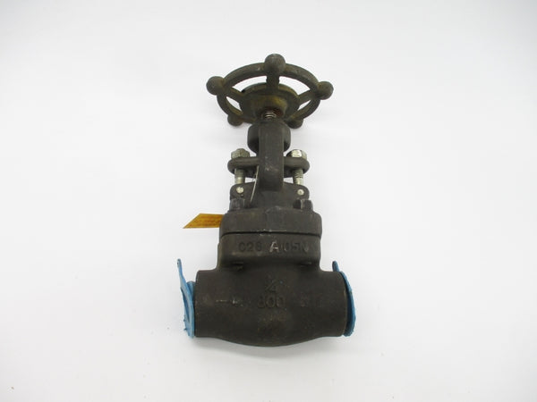 FORTUNE 861-TF 1975PSI 3/4" NSNP