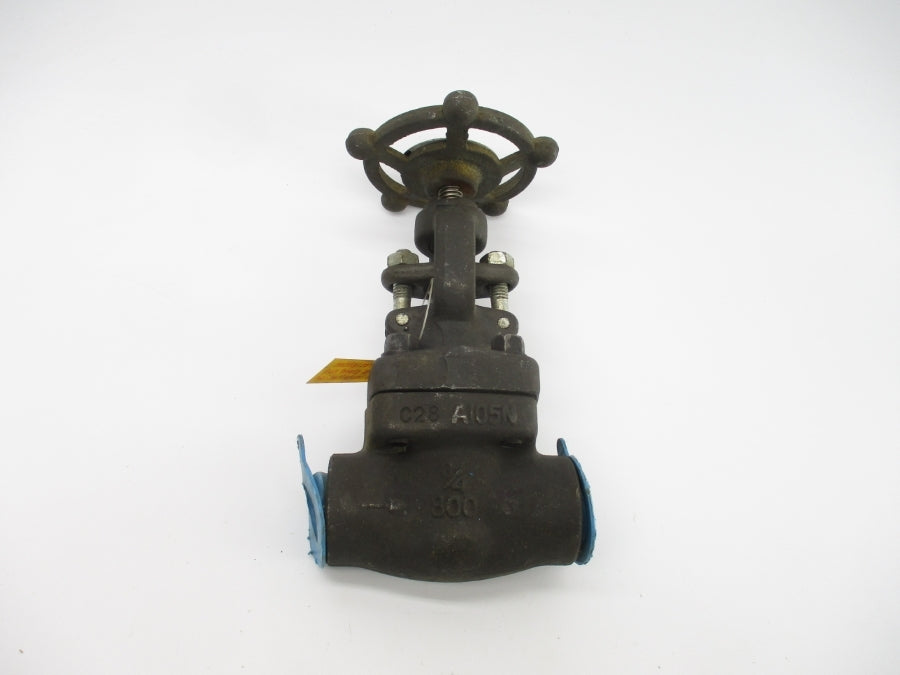 FORTUNE 861-TF 1975PSI 3/4" NSNP