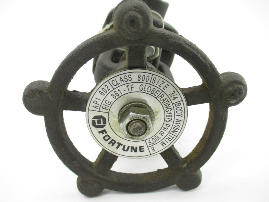 FORTUNE 861-TF 1975PSI 3/4" NSNP