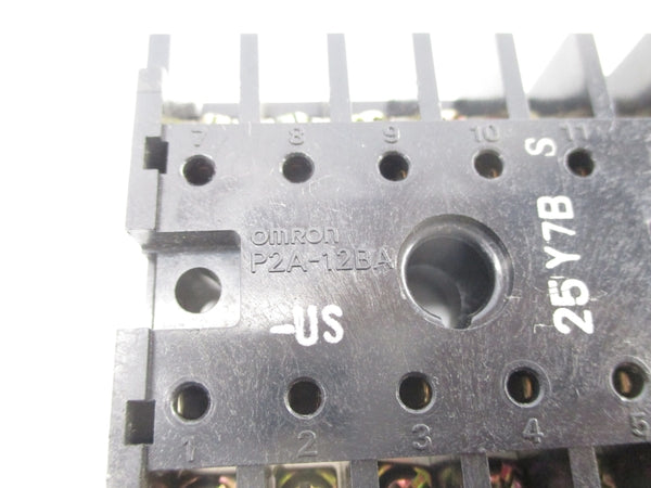 OMRON P2A-12BA-US NSNP