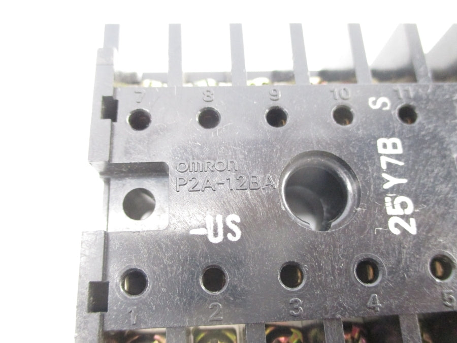 OMRON P2A-12BA-US NSNP