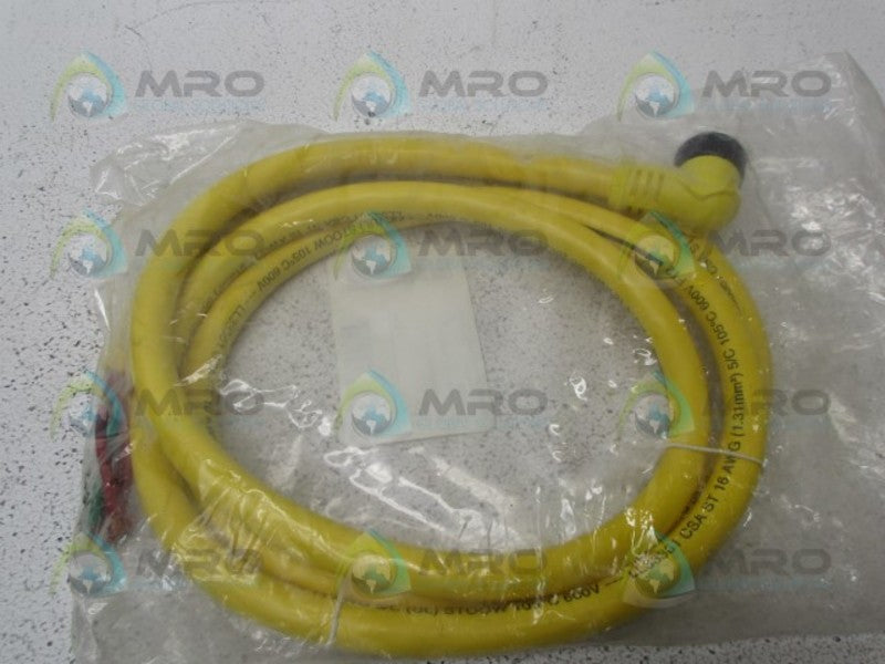 DANIEL WOODHEAD W80656 CORDSET  NSMP
