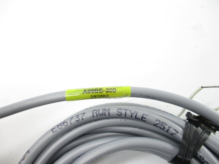JOHNSON CONTROLS A99BB-300 NSNP